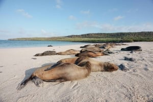 Viagem de 1 dia a Santa Fé com mergulho com snorkel + Playa Escondida