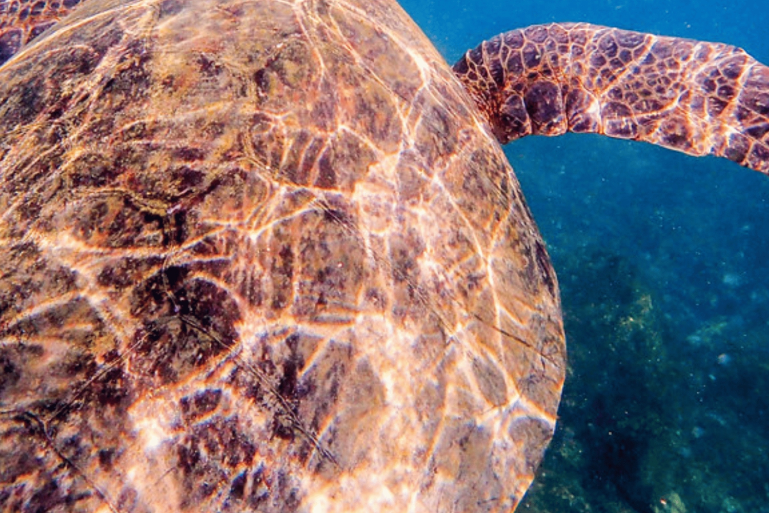 Isola di Santa Fe e Spiaggia Nascosta - Snorkeling