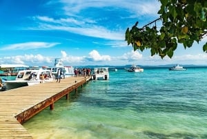 Santo Domingo: prywatna wyspa Bacardí i wodospad El Limón