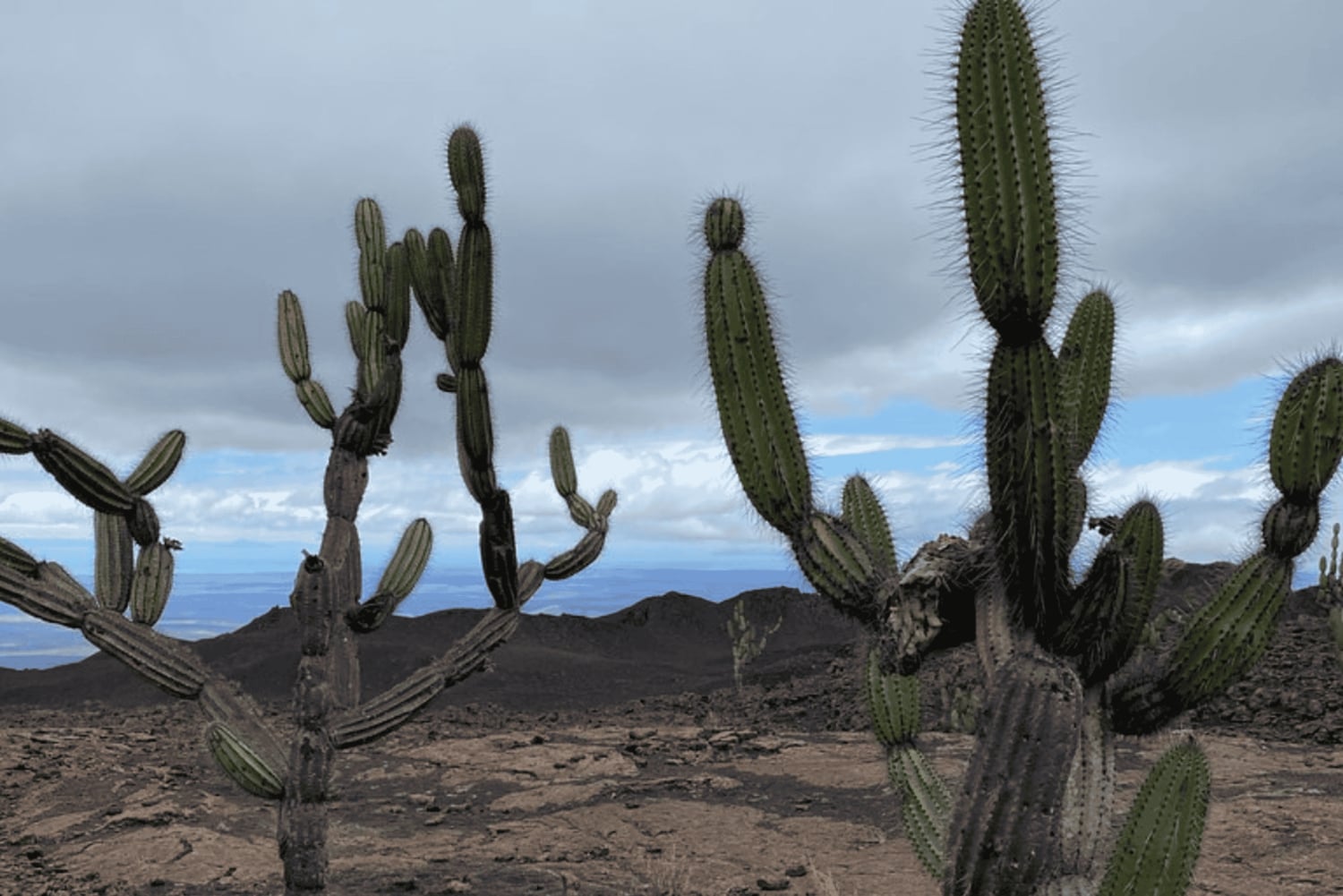 Wycieczka na wulkan Sierra Negra