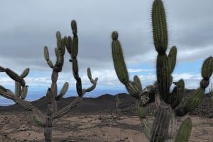 Wycieczka na wulkan Sierra Negra