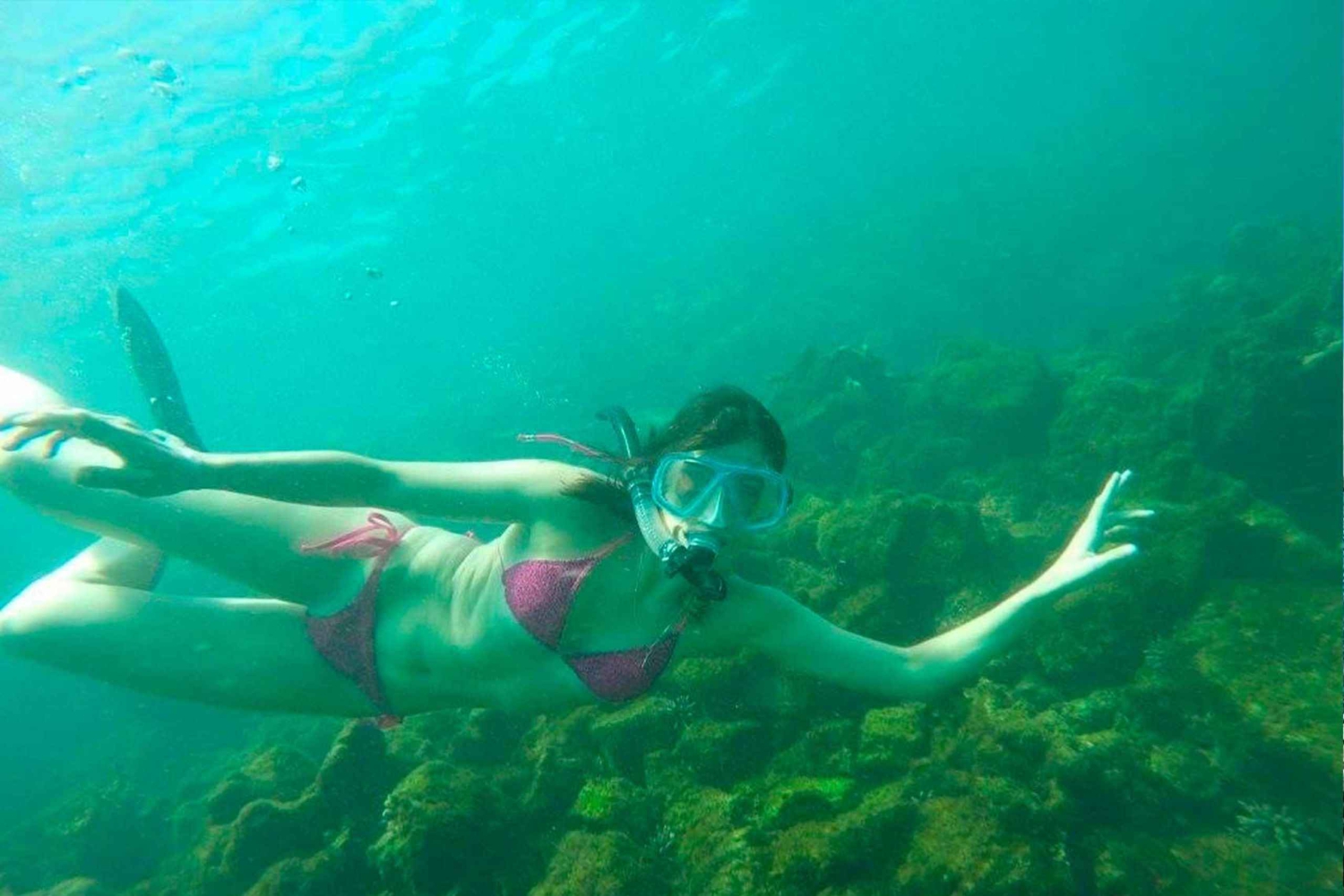 الغطس إيزابيلا