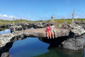 Snorkling på Isabela