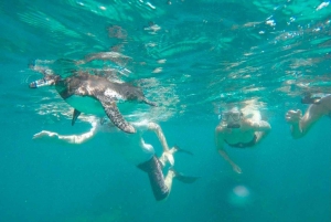 Snorkling på Isabela