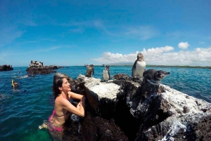 Snorkling på Isabela