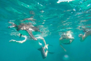 الغطس إيزابيلا