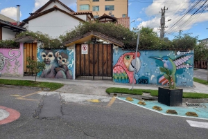 Street Food, Art and the Original Quito Craft Beer Tour
