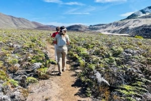 硫黄噴気孔の光景: 火山探検隊の内部