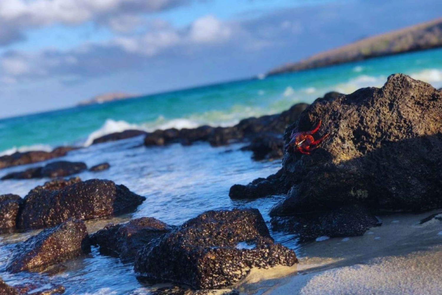 Sustentabilidade e conservação: Baía de Tortuga em Galápagos