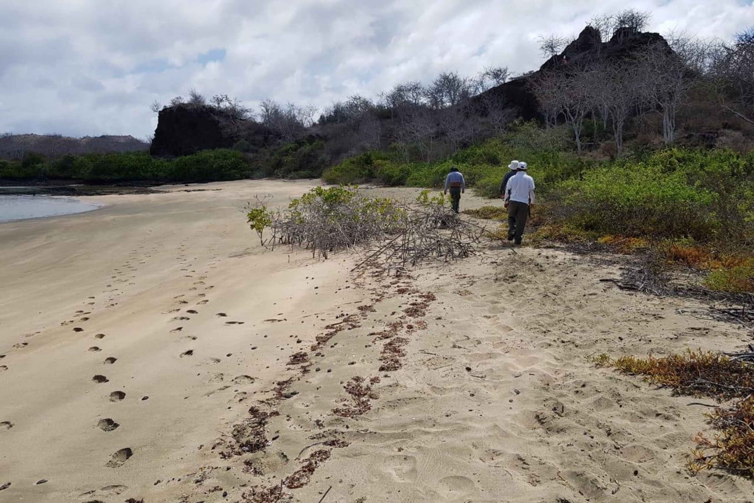 Sostenibilidad y conservación: Bahía Tortuga en Galápagos