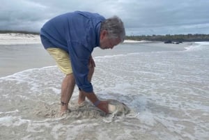 Bærekraft og bevaring: Tortugabukten på Galapagos