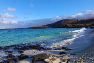Sostenibilità e conservazione: Baia Tortuga alle Galapagos