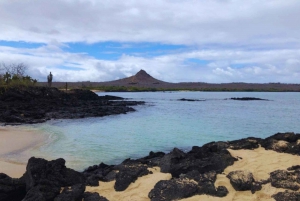 Bæredygtighed og bevaring: Tortuga-bugten på Galapagos