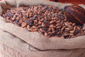 Snoep, trek en geschiedenis in koloniaal Quito