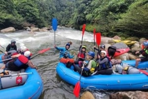 Tena: Rafting de dia inteiro nos rios Jondachi e Hollín