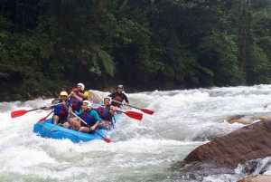 Tena : Journée complète de rafting sur les rivières Jondachi et Hollín