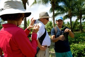 La Expedición a la Granja de Cacao: Del grano al bar