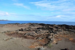 L'isola più fotografata dell'arcipelago: Bartolome Island e Sullivan Bay