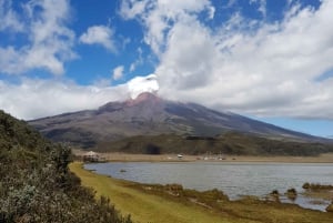 Top Quito Tour: Cotopaxi & Quilotoa Day Trip