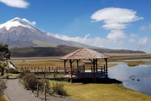 Top Quito Tour: Cotopaxi & Quilotoa Day Trip