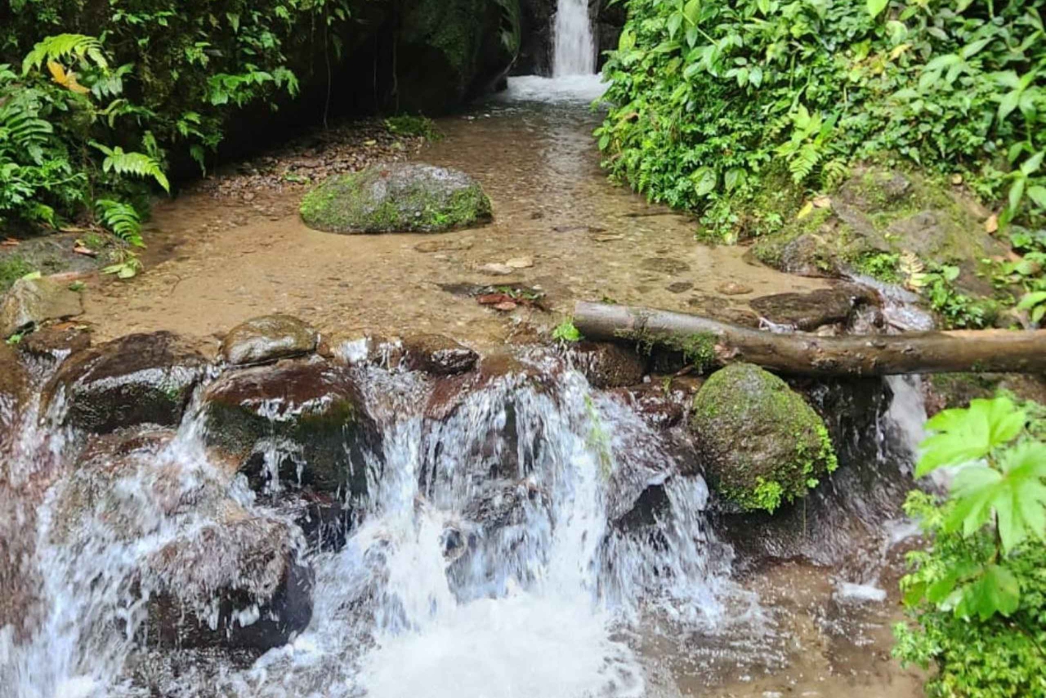 مغامرة كاملة في ميندو - يوم كامل