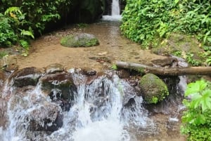 Avventura totale a Mindo - Giornata intera