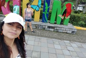 Avventura totale a Mindo - Giornata intera