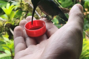 Avventura totale a Mindo - Giornata intera