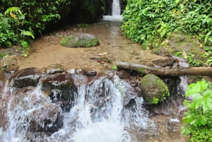 مغامرة كاملة في ميندو - يوم كامل