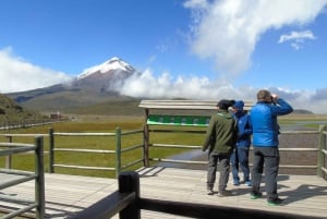 Tour Cotopaxi Volcano in one day from Quito - All Included