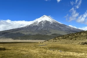 Tour Cotopaxi Volcano in one day from Quito - All Included