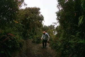 Trekking to Tungurahua Volcano Baños Ecuador