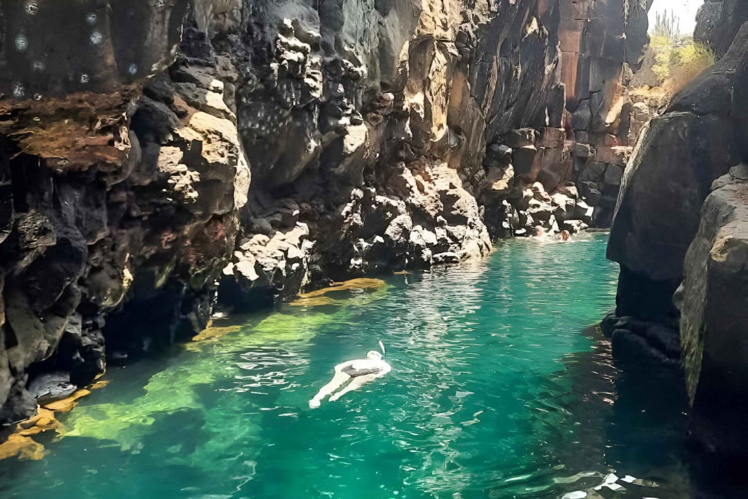 BESØK HIGHLANDS ECOLOGICAL RANCH + TUR I HALVE BUKTEN SANTA CRUZ