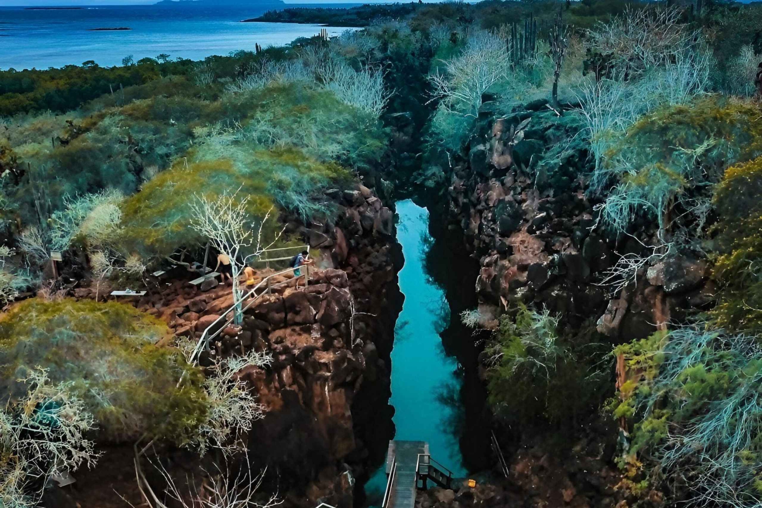 BESØK HIGHLANDS ECOLOGICAL RANCH + TUR I HALVE BUKTEN SANTA CRUZ