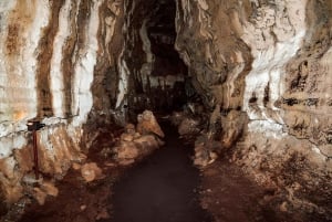 VISITA O RANCHO ECOLÓGICO HIGHLANDS + PASSEIO PELA MEIA BAÍA DE SANTA CRUZ