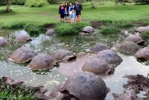 VISITA O RANCHO ECOLÓGICO HIGHLANDS + PASSEIO PELA MEIA BAÍA DE SANTA CRUZ