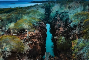 BESØK HIGHLANDS ECOLOGICAL RANCH + TUR I HALVE BUKTEN SANTA CRUZ