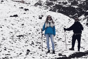 Vulkaan Cotopaxi: Dia de recorrido en las Alturas Andinas