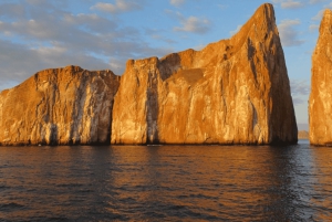 Dzika przyroda i nurkowanie w Kicker Rock (Leon Dormido)