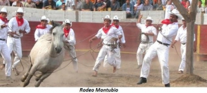 Festivals and Celebrations