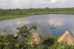 The Amazon Rainforest