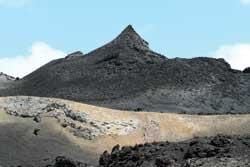 The Galapagos Islands