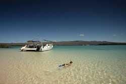 The Galapagos Islands