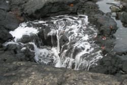 The Galapagos Islands