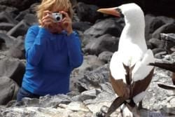 Top Ten Attractions in Ecuador