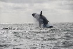 Top Ten Attractions in Ecuador