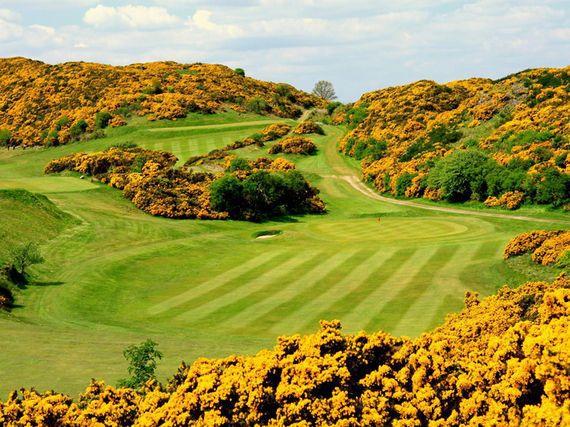 The Gorse at the Braid Hills Golf Course
