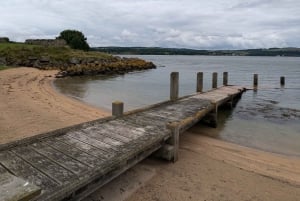 Поездка на лодке и экскурсия на остров Инчкольм