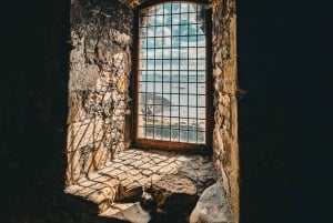 Excursion en bateau et visite guidée de l'île d'Inchcolm