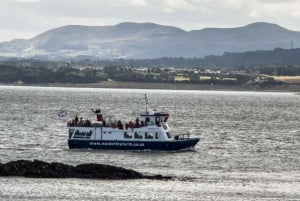 Excursion en bateau et visite guidée de l'île d'Inchcolm
